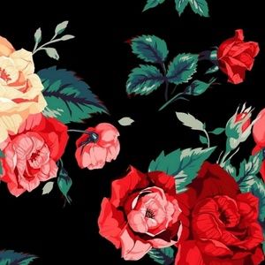 Meet your Posher, Ruby